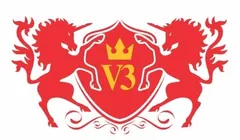 V3 Alcobev logo